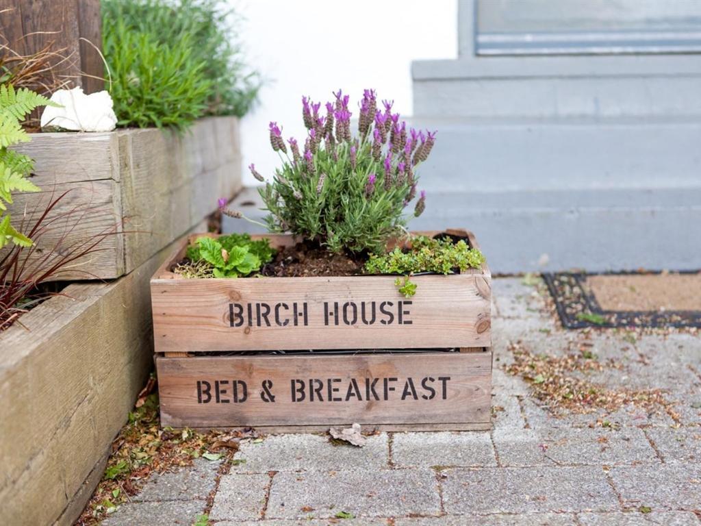 Bed & Breakfast Birch House 5*